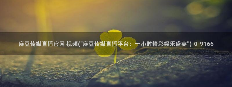 麻豆指南页