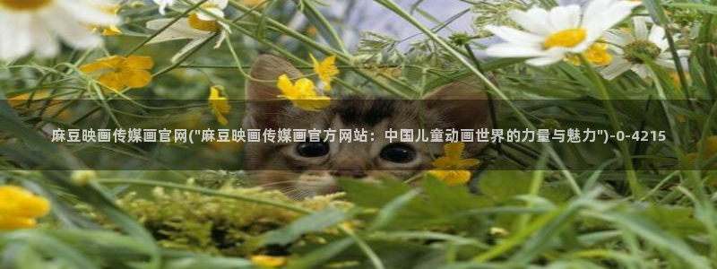 麻豆视频
