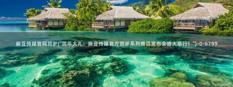 麻豆视频大全