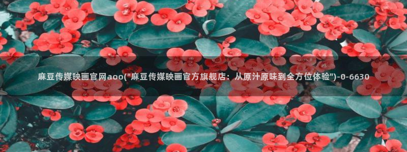 麻豆自定义库