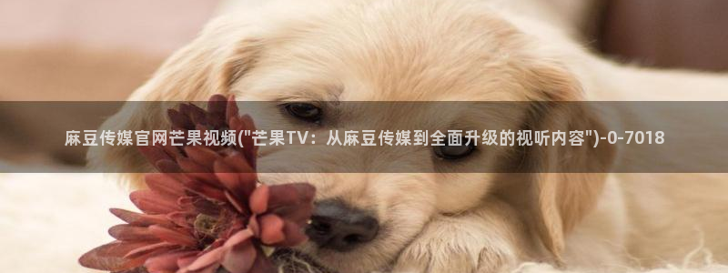 麻豆精品视频