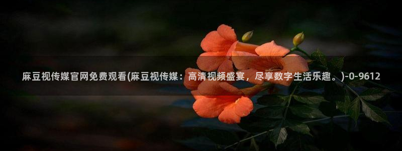 麻豆视频评分