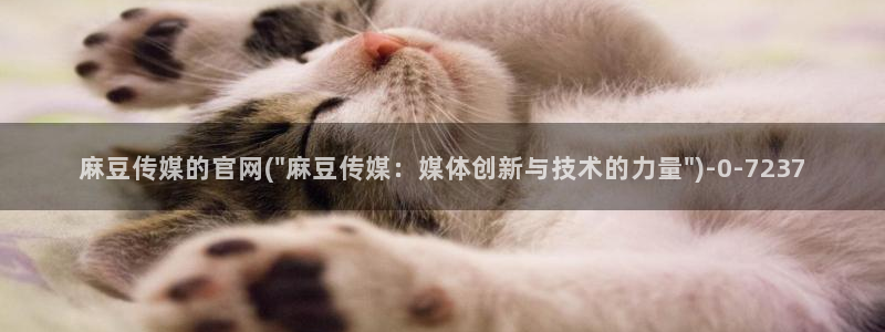 麻豆新片描述