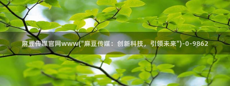 麻豆观看指南