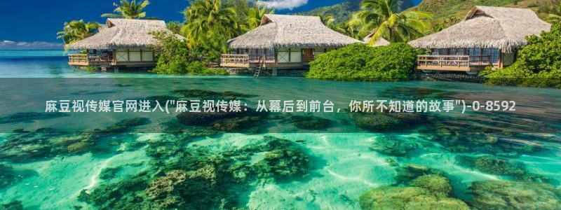 麻豆视频资源站文案