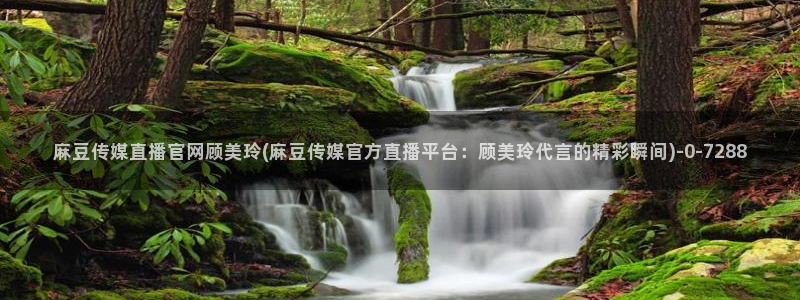 麻豆榜单描述