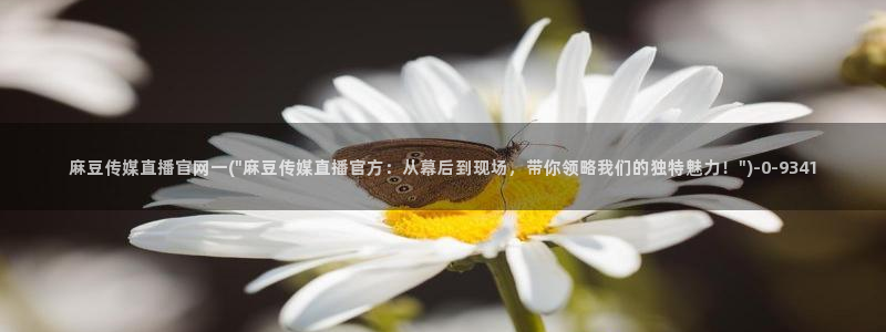 麻豆人物关系
