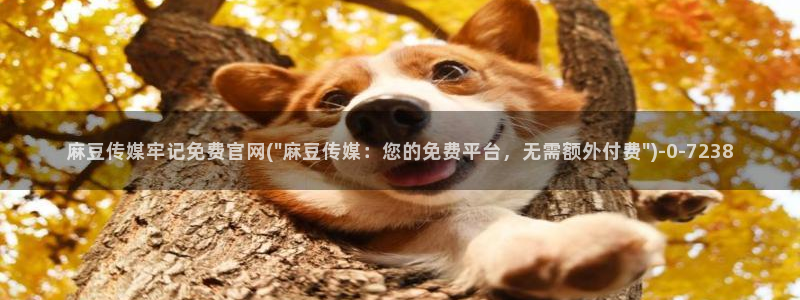 麻豆演员资料