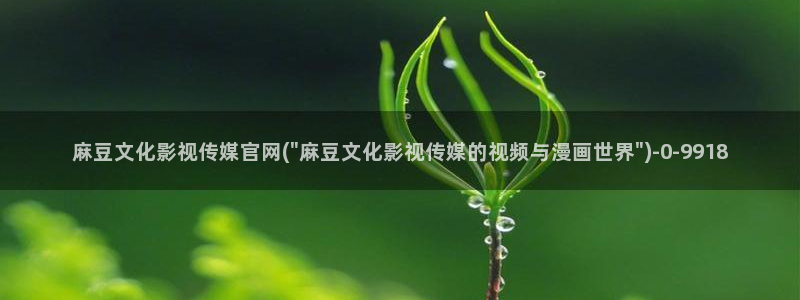 麻豆描述库
