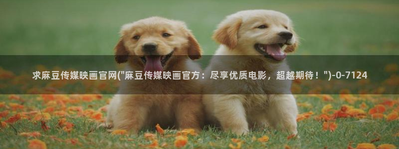 麻豆视频站群文案