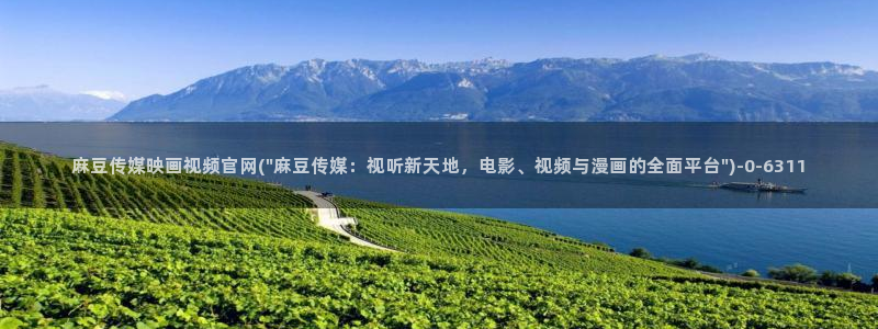 麻豆视频更新