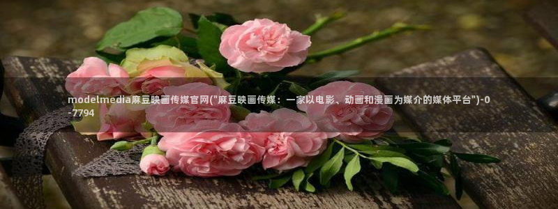 麻豆演员描述