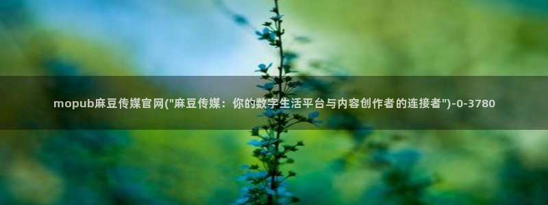 麻豆视频内容质量