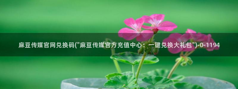 麻豆视频大全