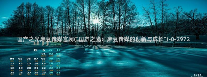 麻豆视频搜索