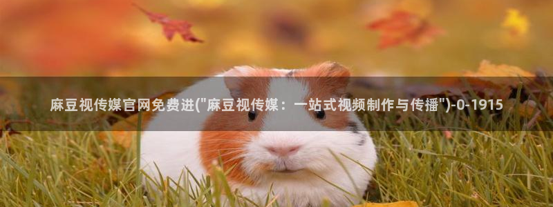 麻豆视频点评