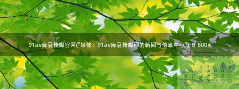 麻豆视频排行文案