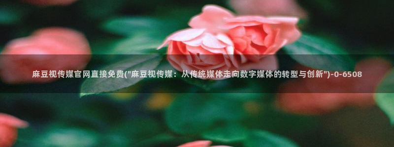 麻豆视频优质内容