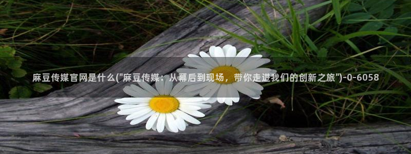 麻豆内容优化