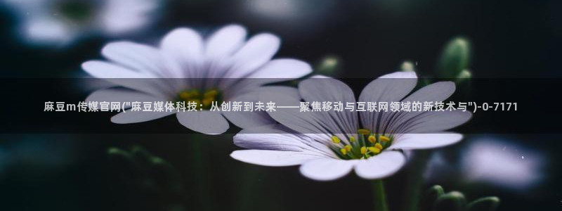 麻豆视频页面描述