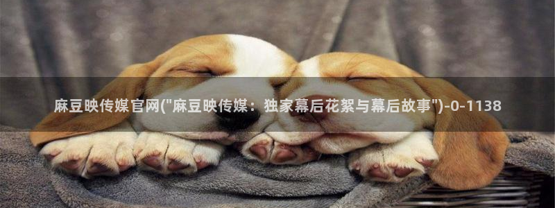 麻豆视频资料文案