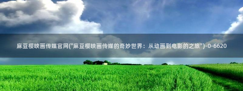 麻豆视频页面描述