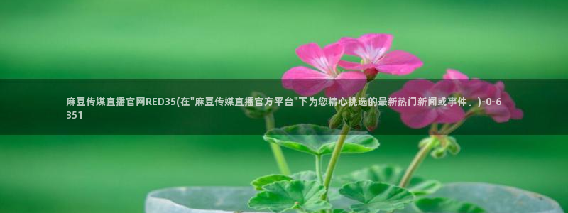 麻豆剧情视频