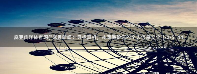 麻豆视频分类规则