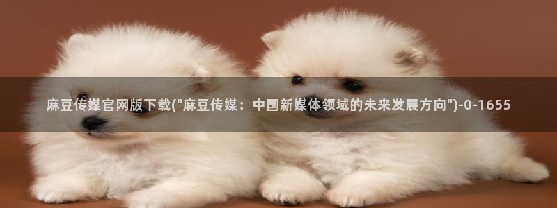 麻豆精选视频
