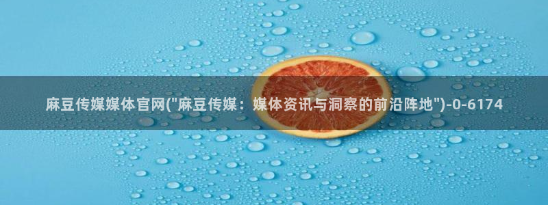 麻豆视频资料文案