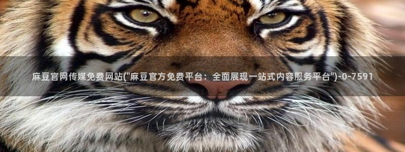 麻豆标题库